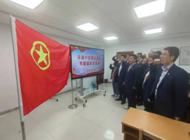 市產(chǎn)投集團(tuán)團(tuán)委召開(kāi)2021年度專題組織生活會(huì)(圖5)